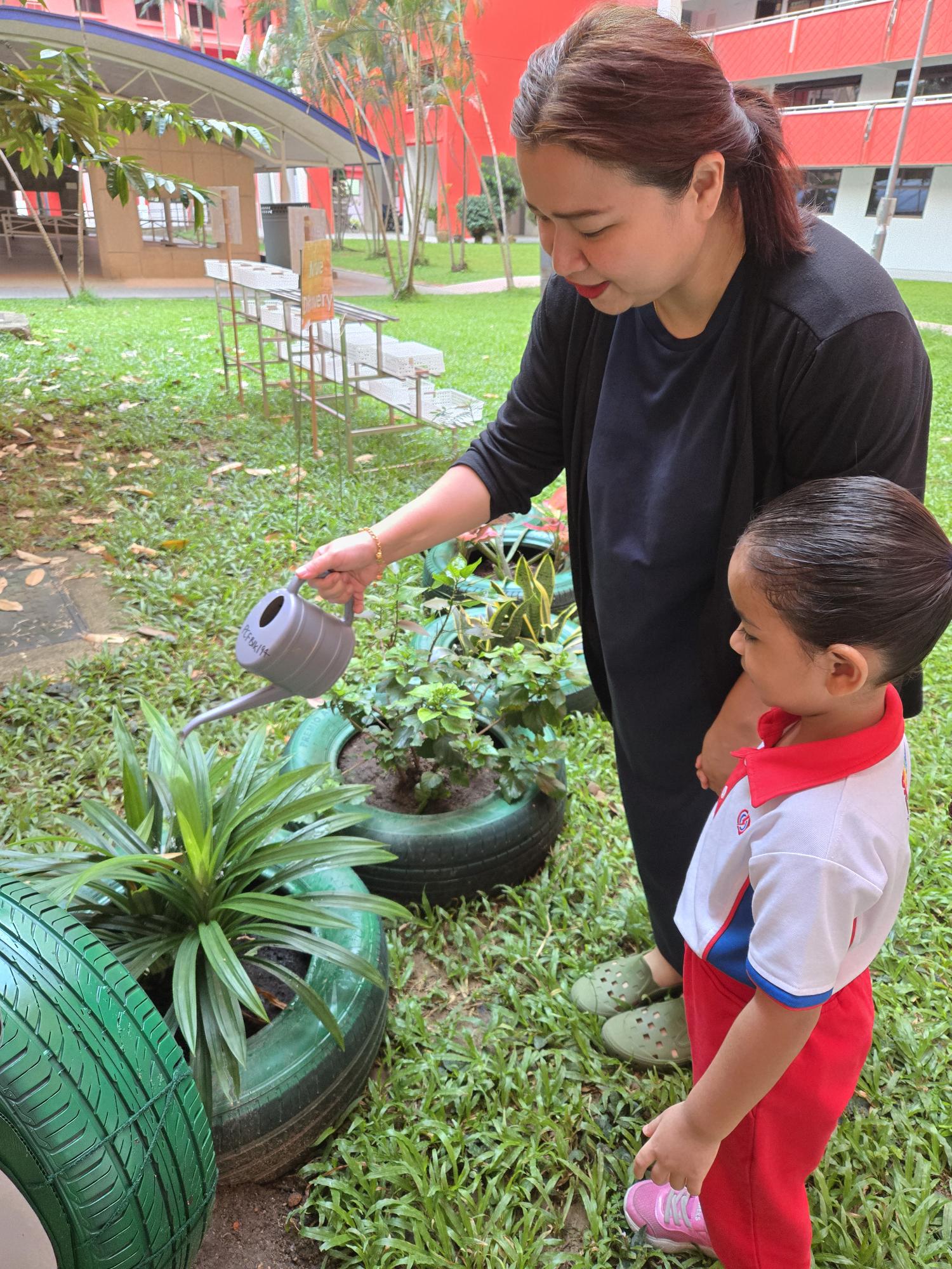 From Little Hands to Green Garden — photo 28