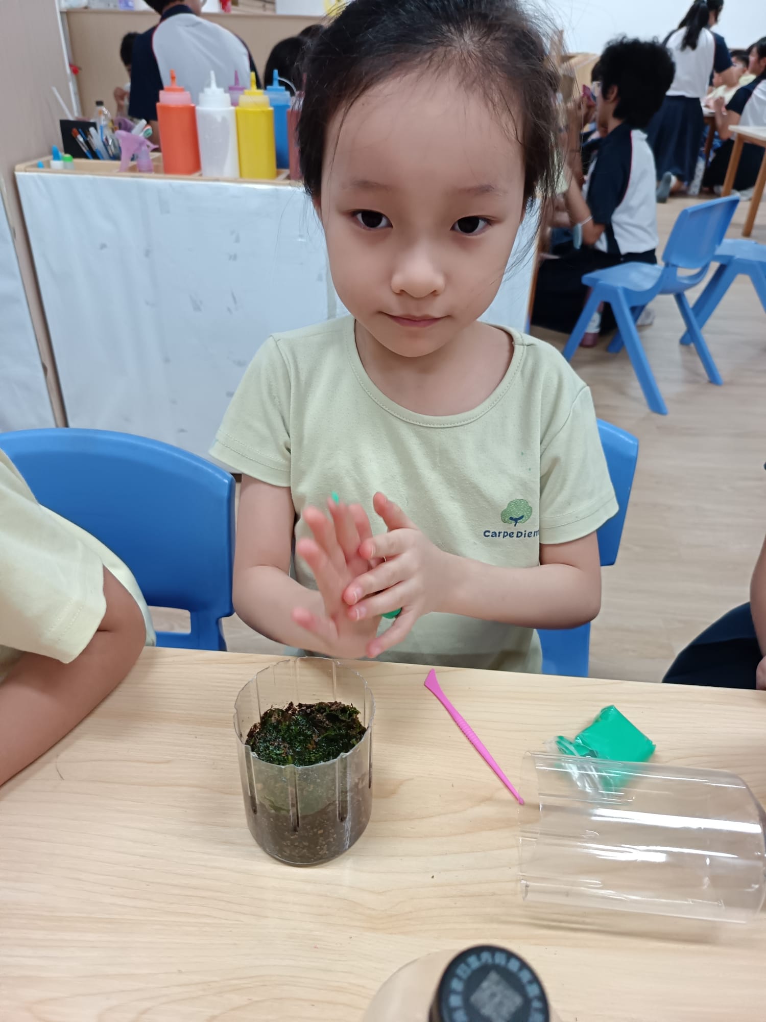 Terrarium Making — photo 2