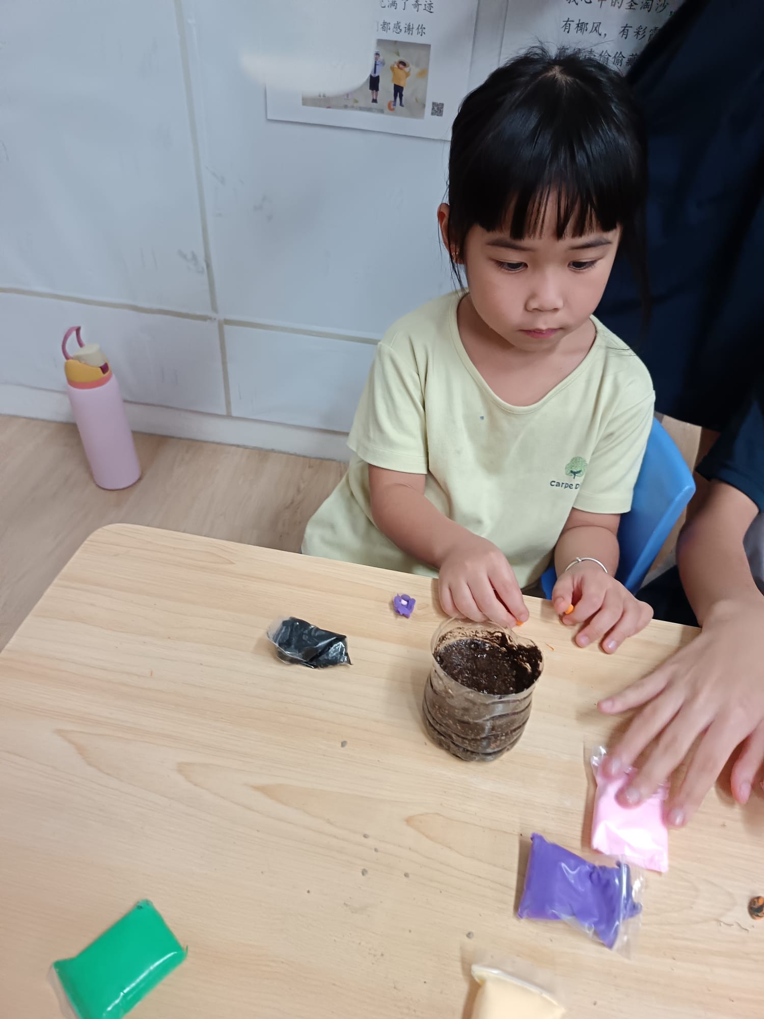 Terrarium Making — photo 3