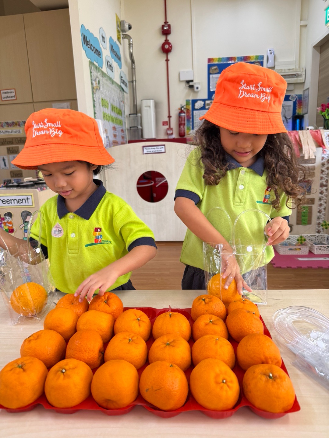 Orange Distribution for CNY — photo 2