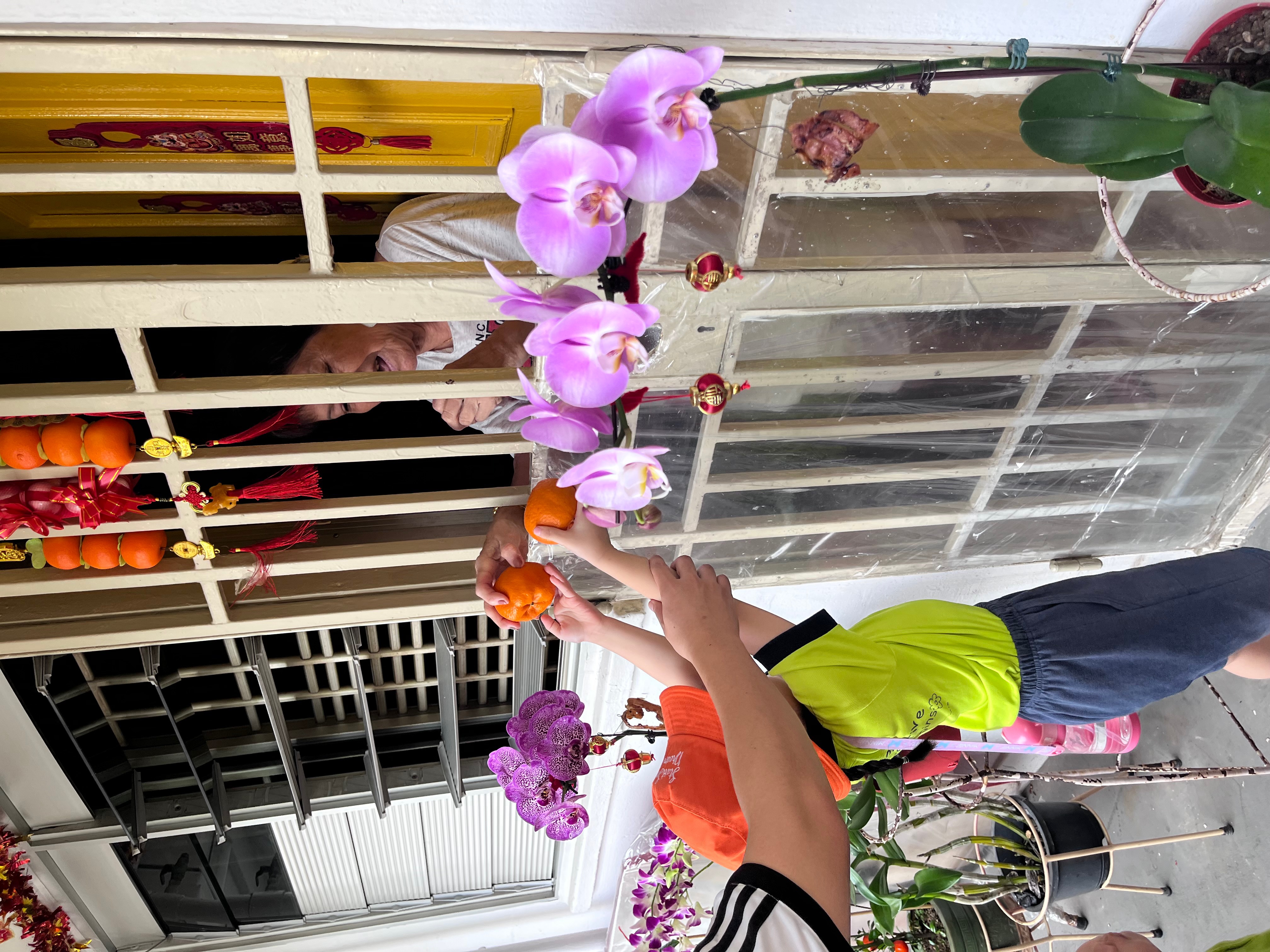Orange Distribution for CNY — photo 7