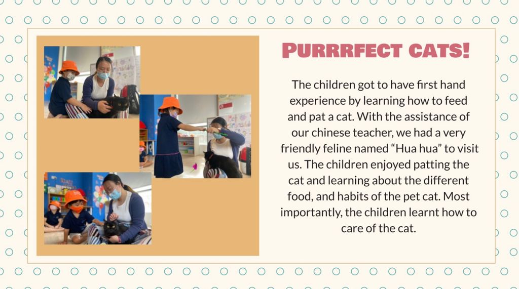 My Learning Haven (Suntec) - Responsible Pet Ownership — photo 4