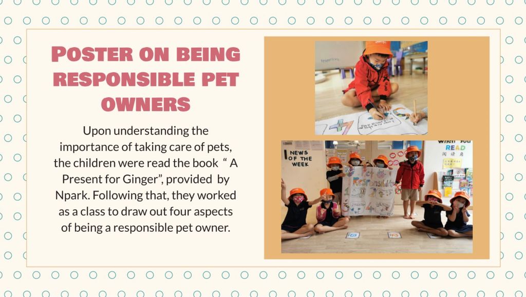 My Learning Haven (Suntec) - Responsible Pet Ownership — photo 7