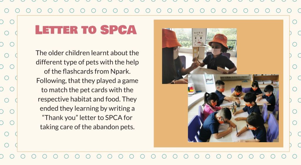 My Learning Haven (Suntec) - Responsible Pet Ownership — photo 8