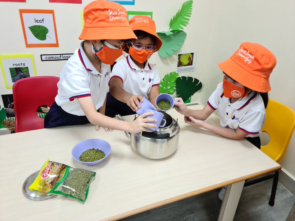 Growing Bean Sprouts @ Bedok Methodist Preschool