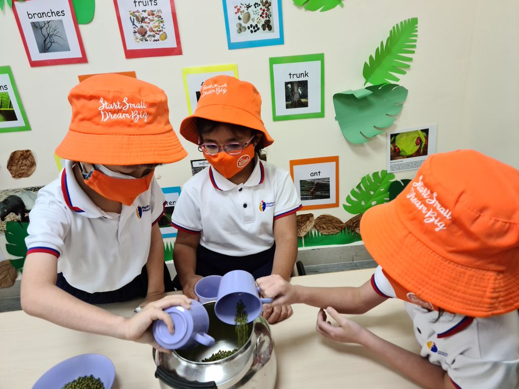 Growing Bean Sprouts @ Bedok Methodist Preschool — photo 2