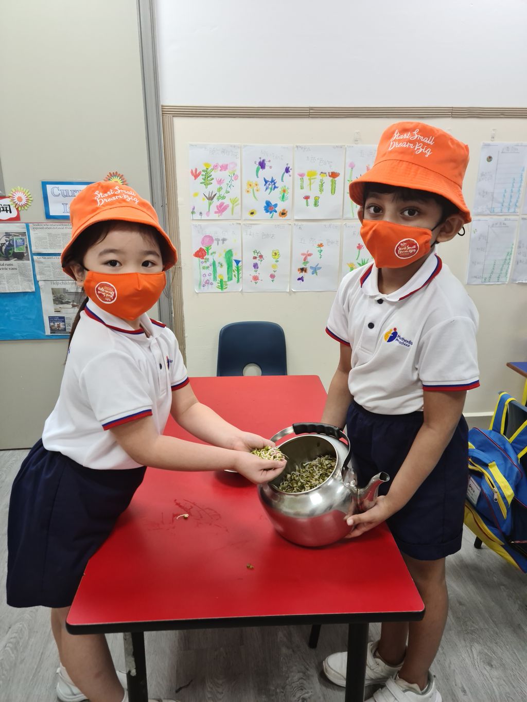 Growing Bean Sprouts @ Bedok Methodist Preschool — photo 5