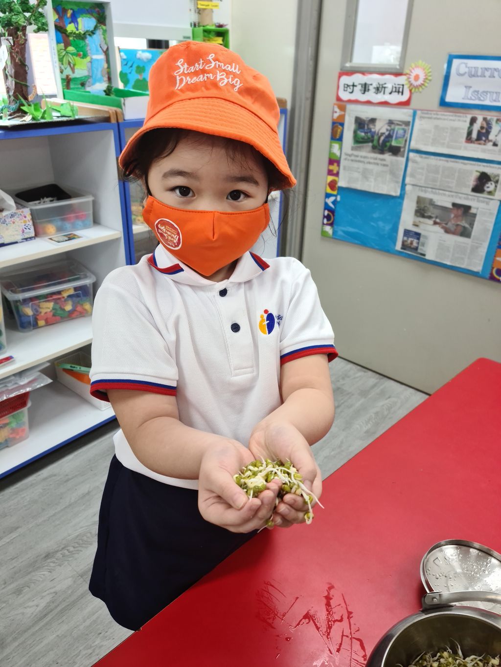 Growing Bean Sprouts @ Bedok Methodist Preschool — photo 6