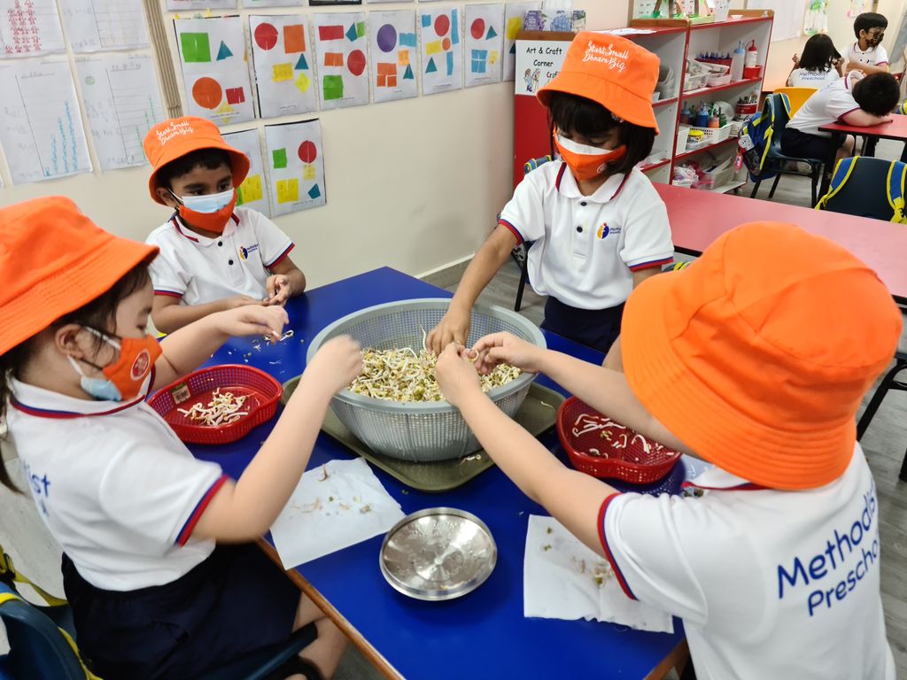 Growing Bean Sprouts @ Bedok Methodist Preschool — photo 9