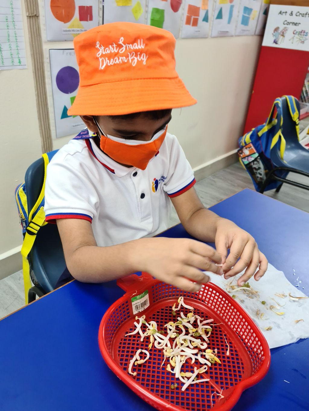 Growing Bean Sprouts @ Bedok Methodist Preschool — photo 10