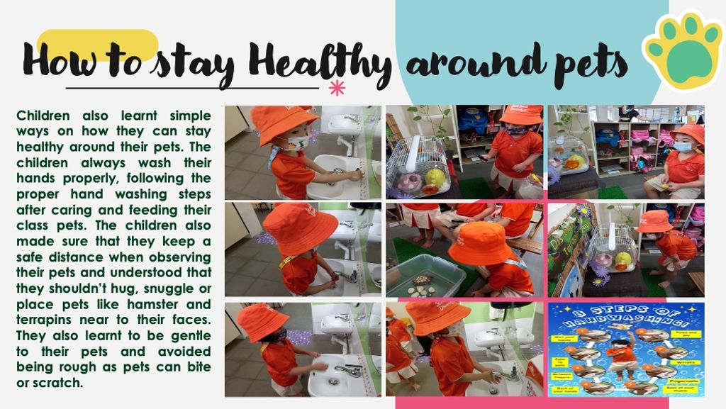 My First Skool " Paw-sitive Attitude" (August activities) — photo 6