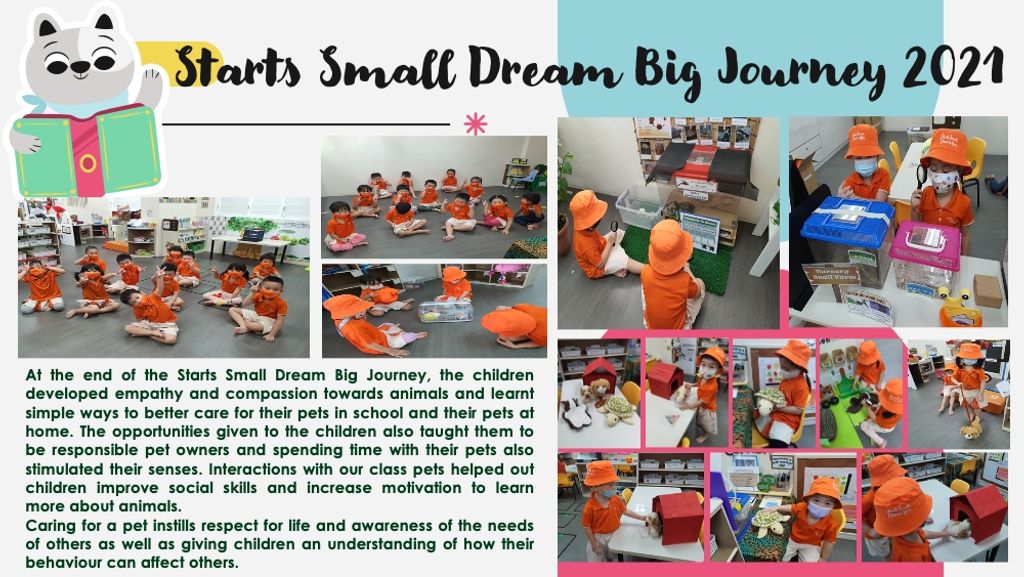 My First Skool " Paw-sitive Attitude" (August activities) — photo 10