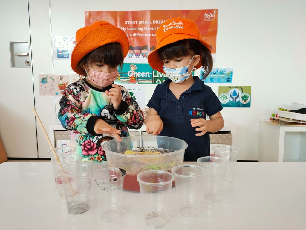 Caring for our Environment — photo 3