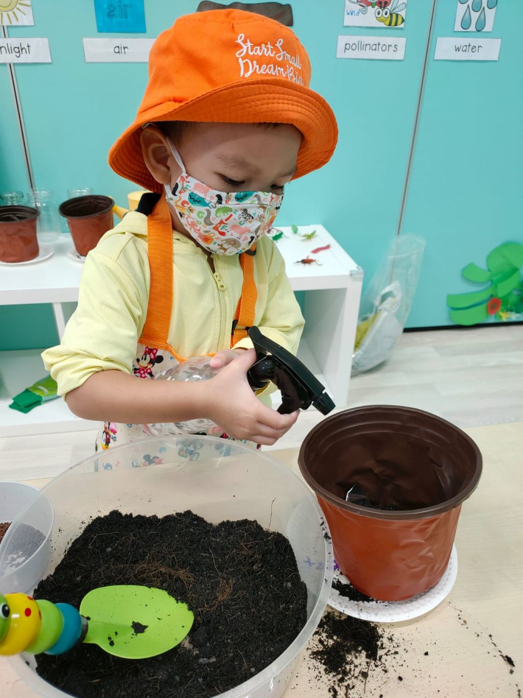 Caring for our Environment — photo 3