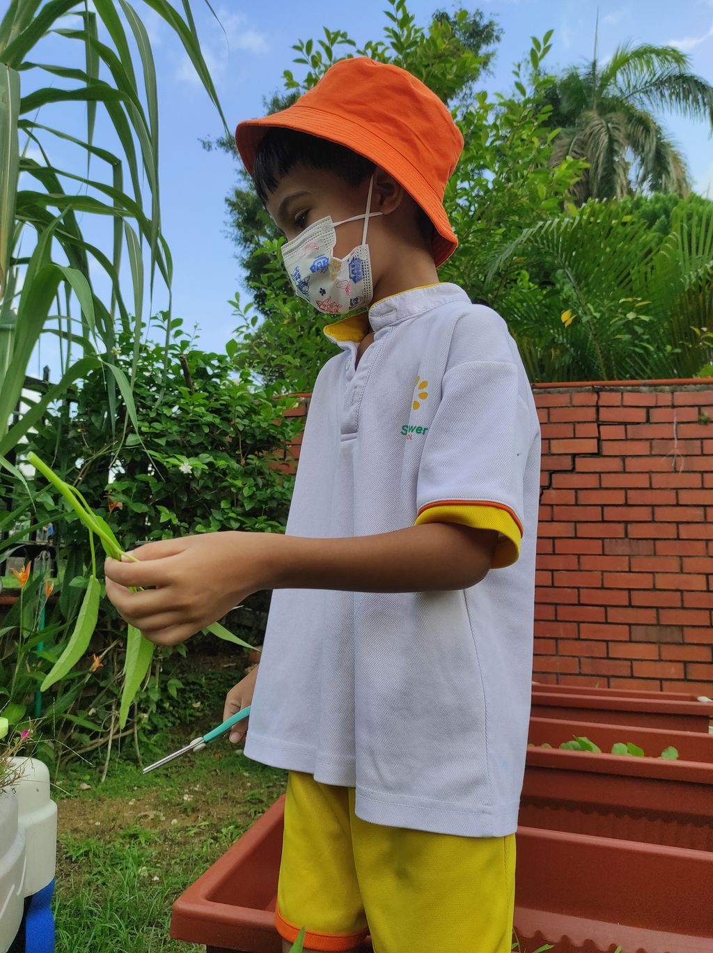 Seeds with P.R.A.I.S.E