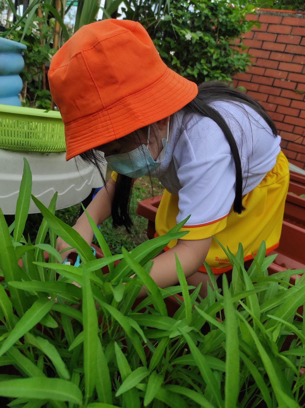 Seeds with P.R.A.I.S.E — photo 2