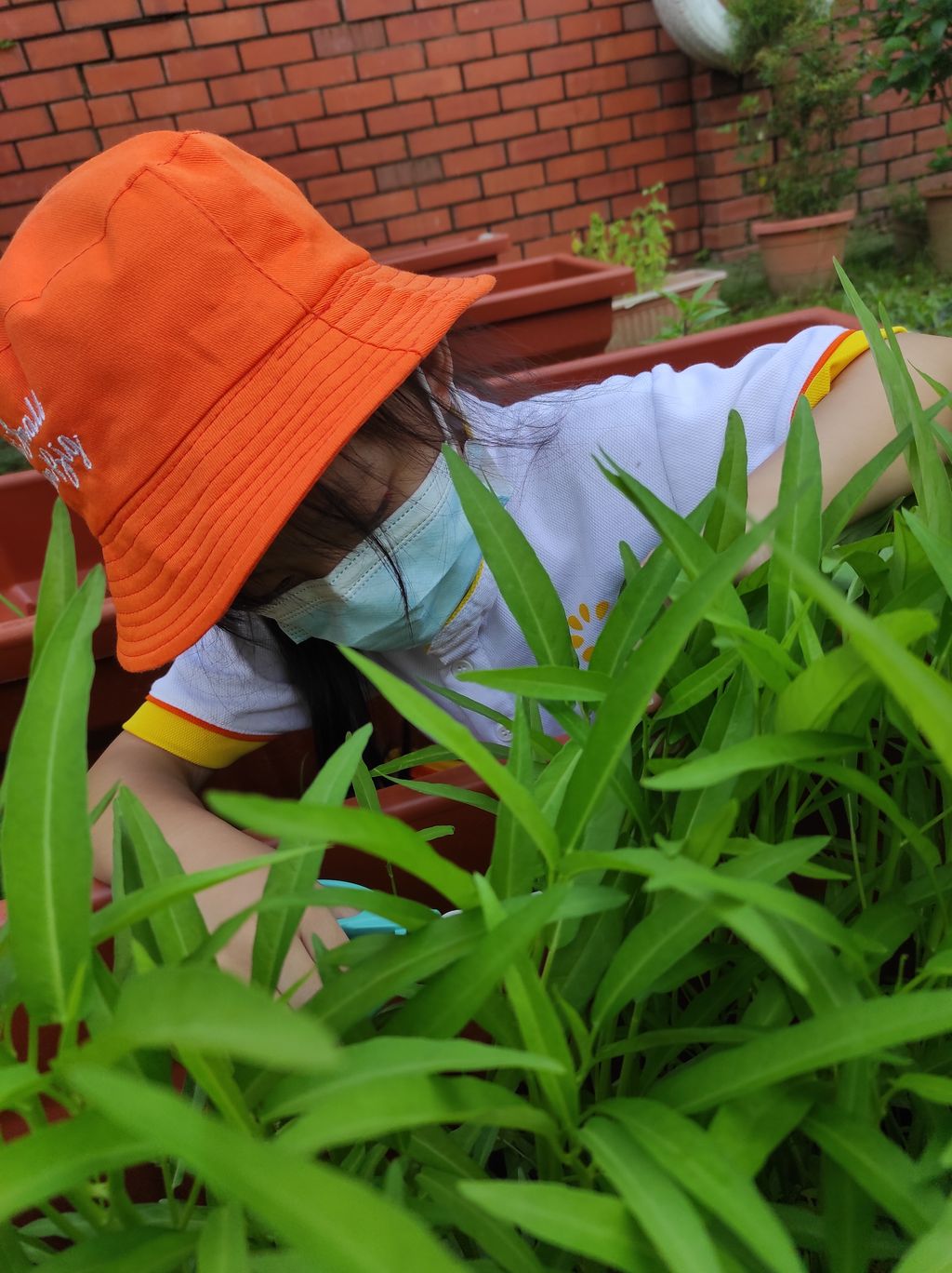Seeds with P.R.A.I.S.E — photo 4