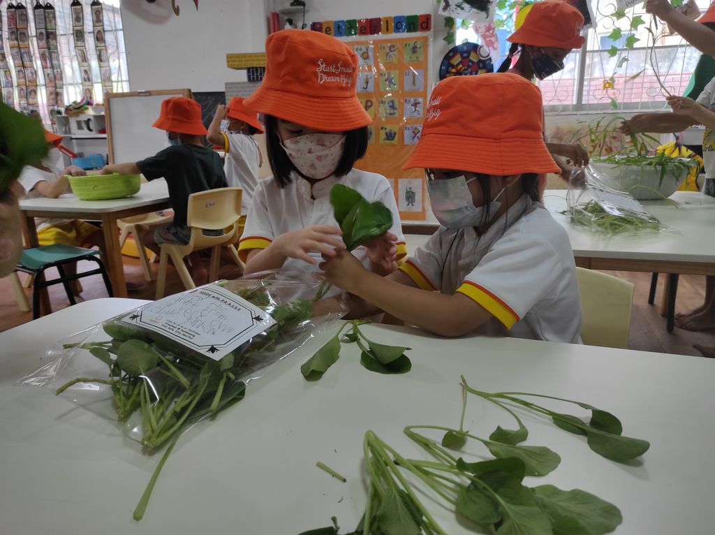 Seeds with P.R.A.I.S.E — photo 6
