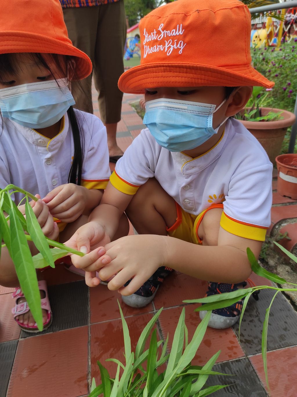 Seeds with P.R.A.I.S.E — photo 7