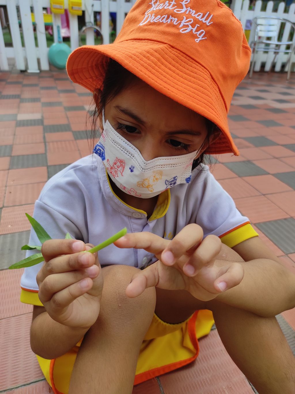 Seeds with P.R.A.I.S.E — photo 9