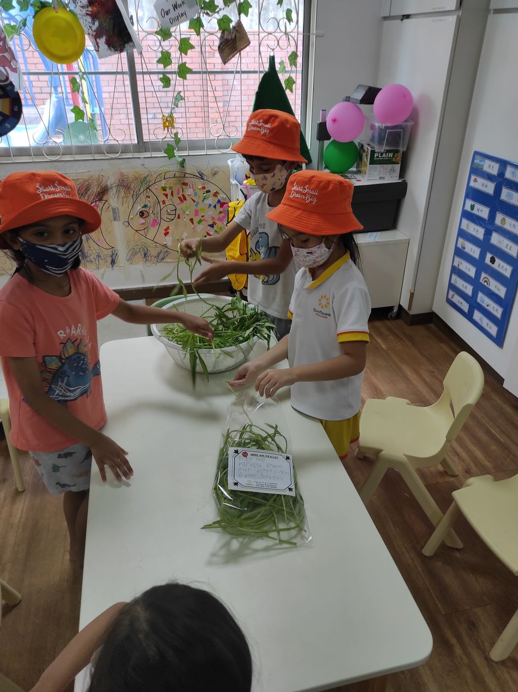 Seeds with P.R.A.I.S.E — photo 10