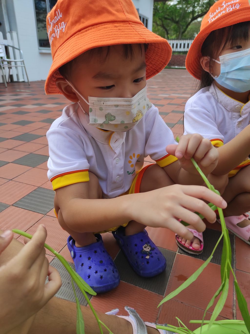 Seeds with P.R.A.I.S.E — photo 11
