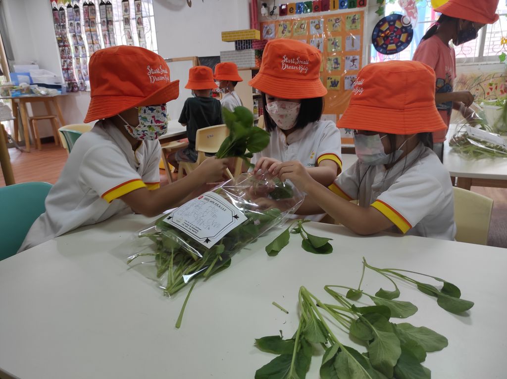 Seeds with P.R.A.I.S.E — photo 12