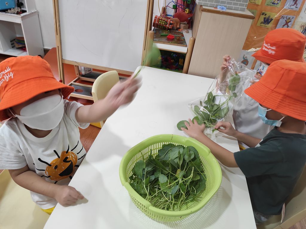 Seeds with P.R.A.I.S.E — photo 13