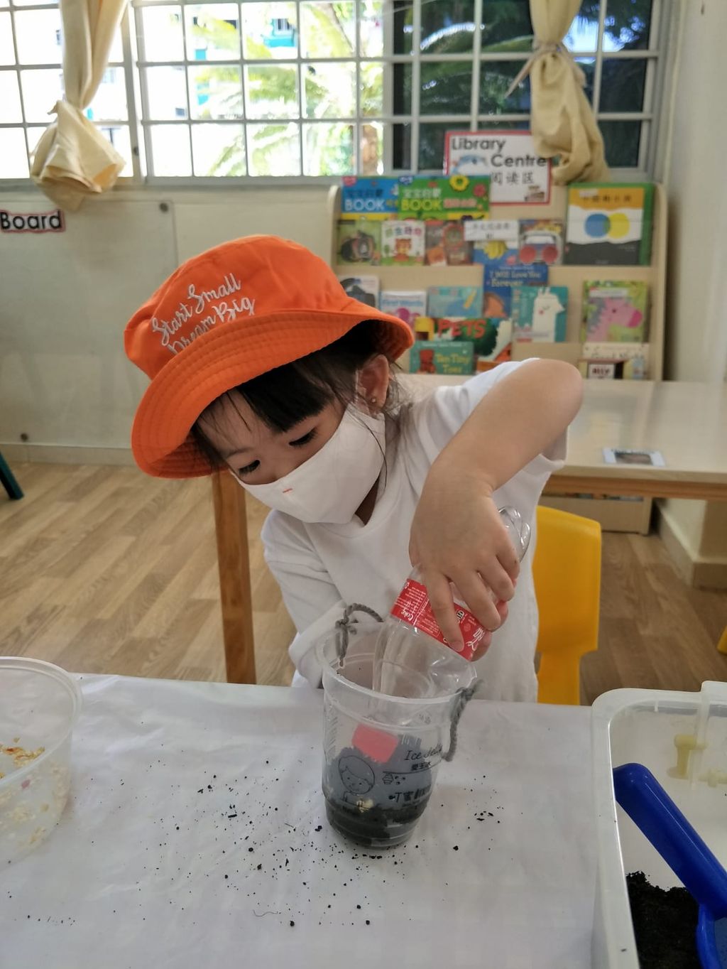 N1 children SSDB Gardening Journal - Chilli Plant — photo 4