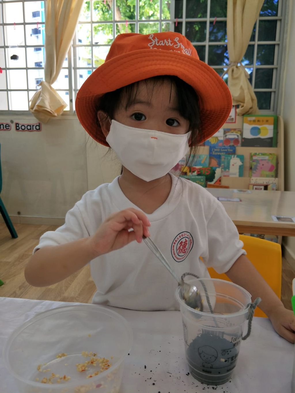 N1 children SSDB Gardening Journal - Chilli Plant — photo 6
