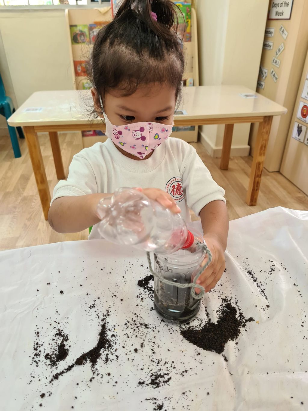 N1 children SSDB Gardening Journal - Chilli Plant — photo 7