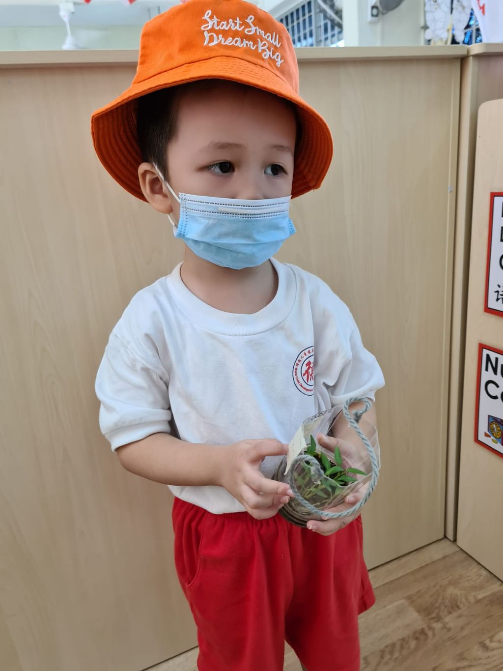 N1 children SSDB Gardening Journal - Chilli Plant — photo 9