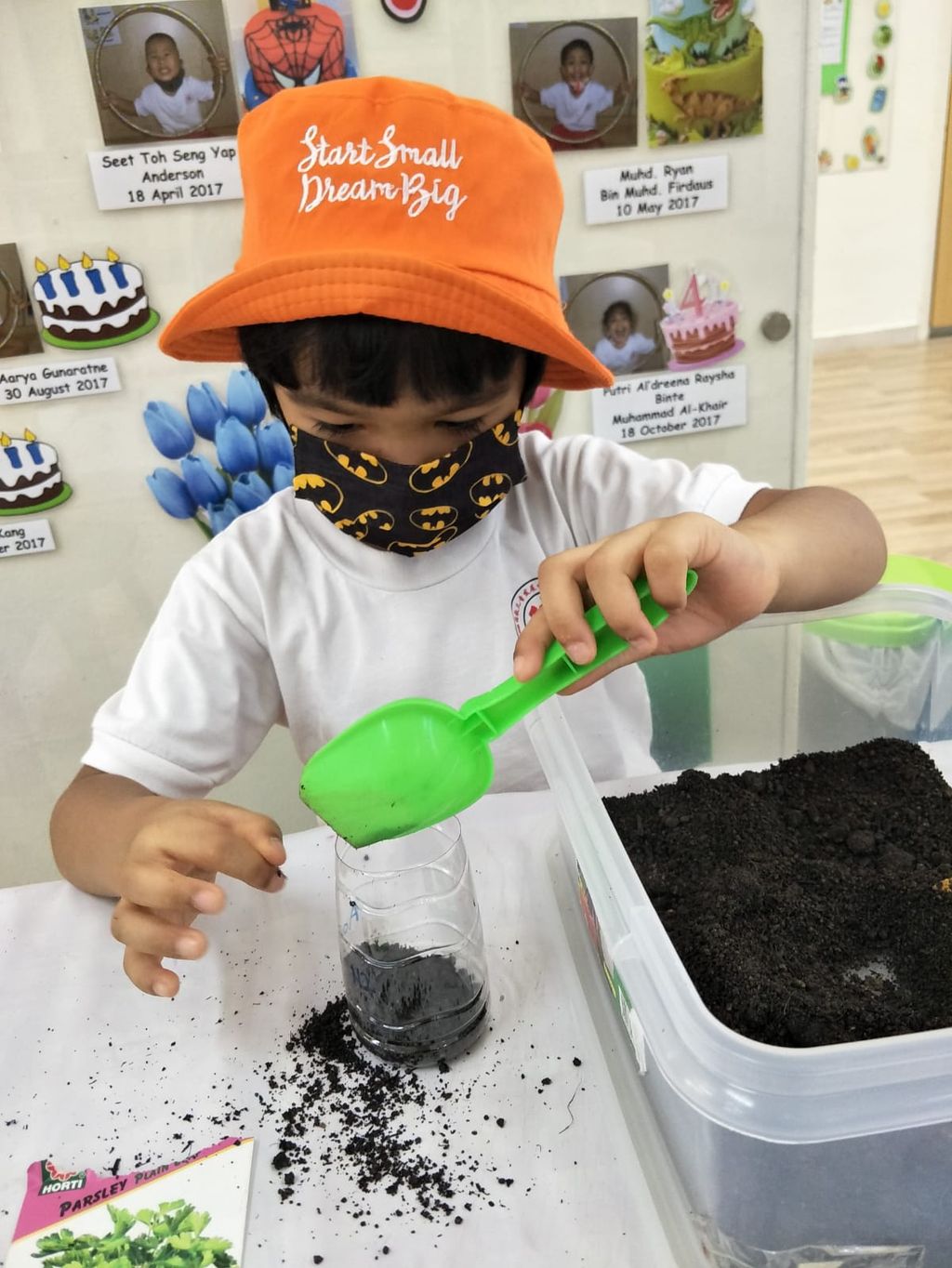N2 children SSDB Gardening Journal-Coriander and Onion — photo 2
