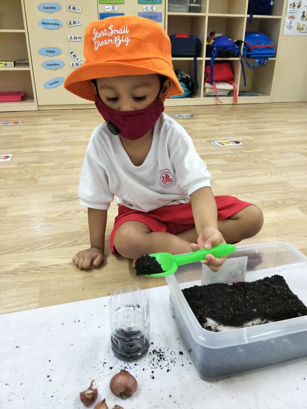 N2 children SSDB Gardening Journal-Coriander and Onion — photo 8