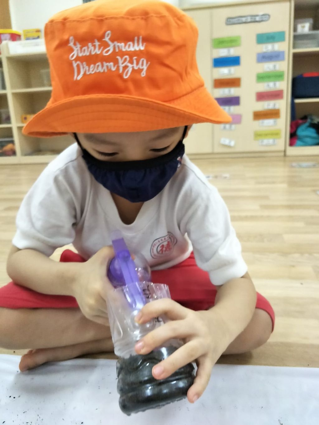 N2 children SSDB Gardening Journal-Coriander and Onion — photo 10