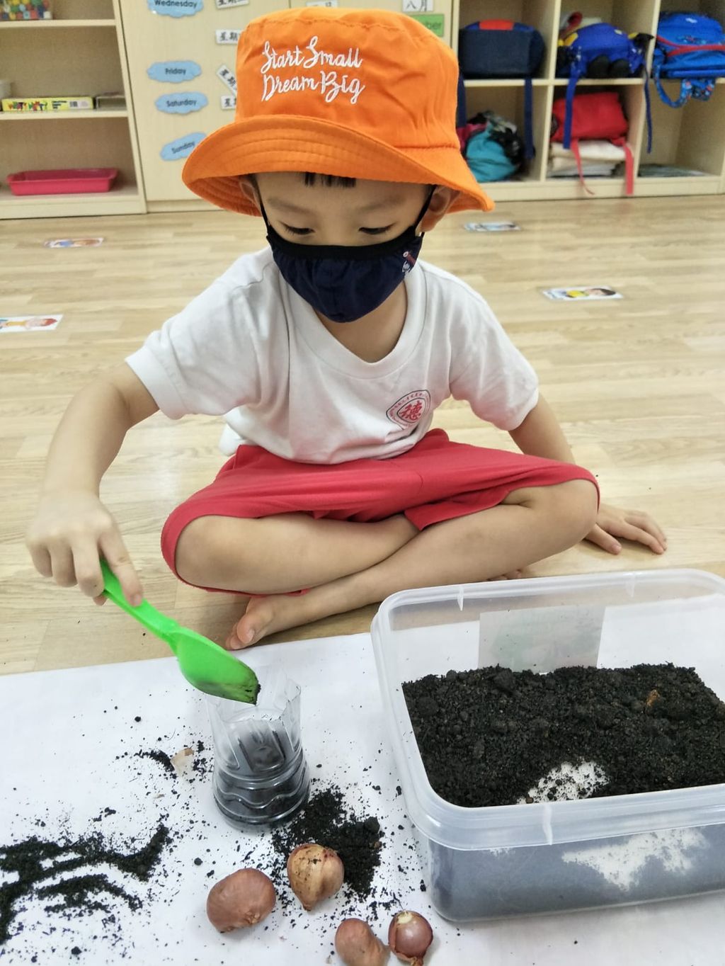 N2 children SSDB Gardening Journal-Coriander and Onion — photo 11