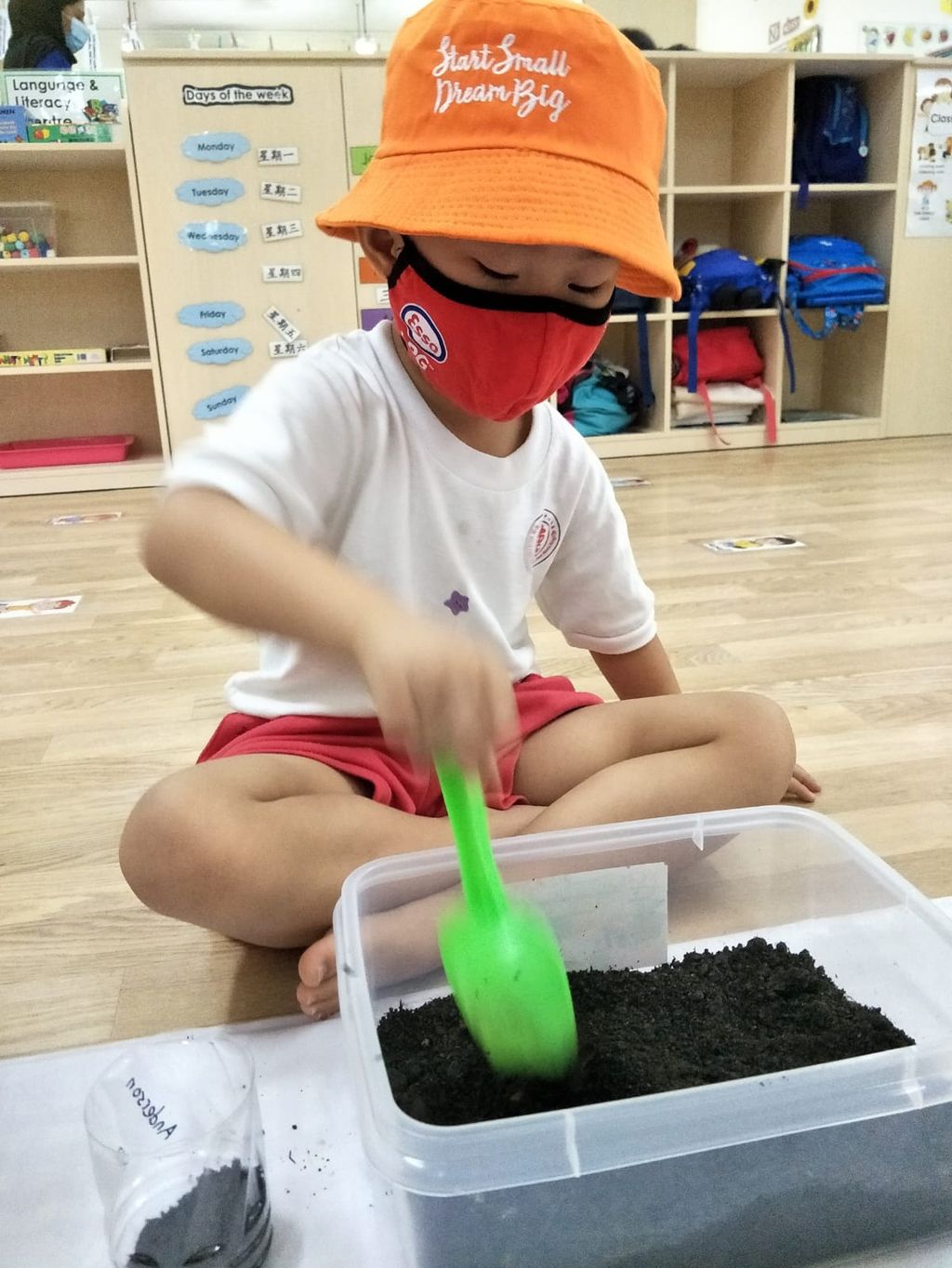 N2 children SSDB Gardening Journal-Coriander and Onion — photo 12