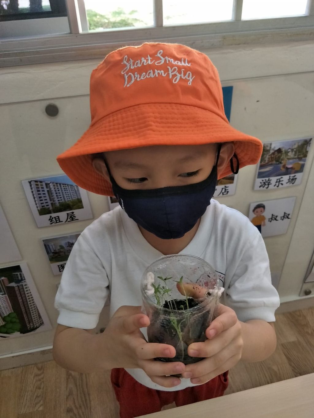 N2 children SSDB Gardening Journal-Coriander and Onion — photo 13