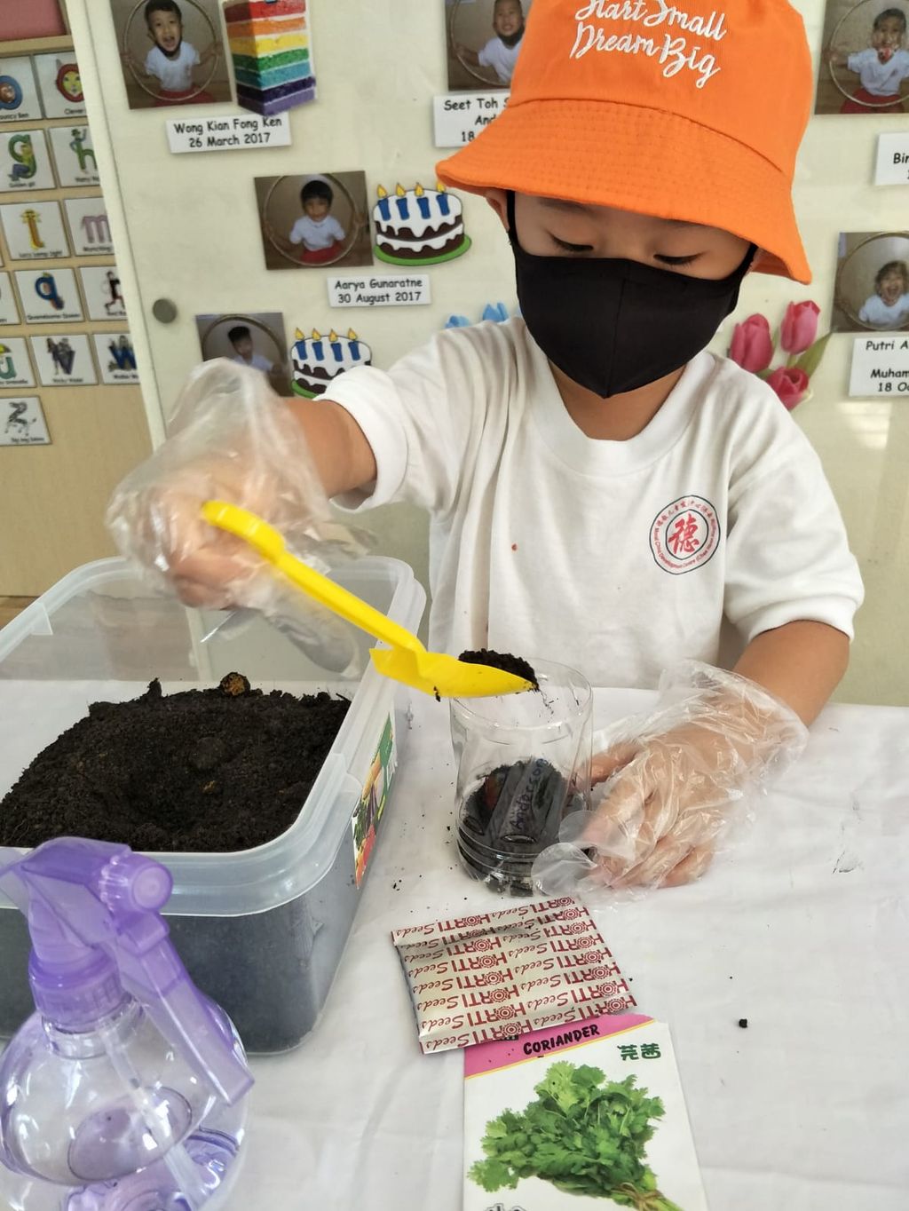 N2 children SSDB Gardening Journal-Coriander and Onion — photo 16