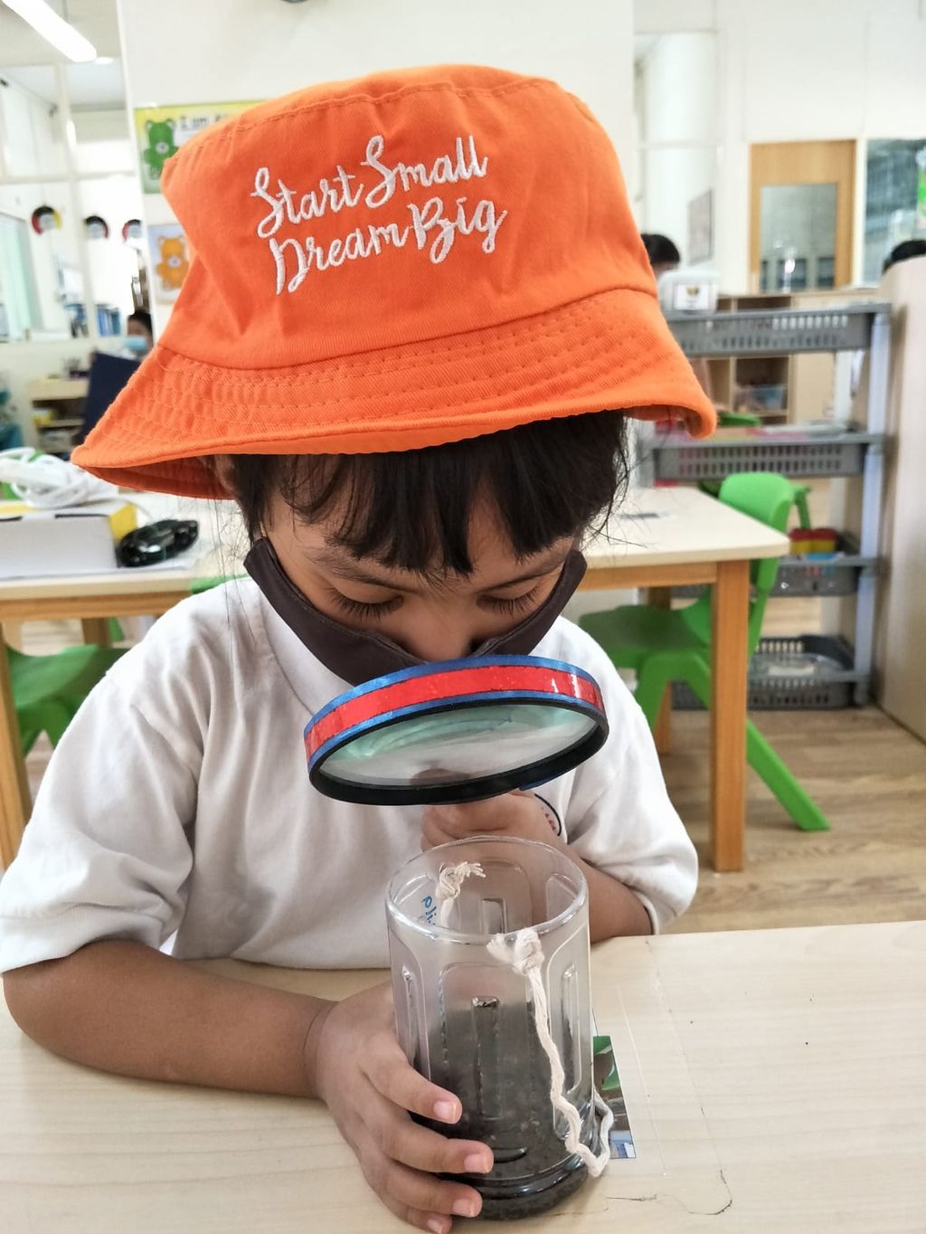 N2 children SSDB Gardening Journal-Coriander and Onion — photo 21