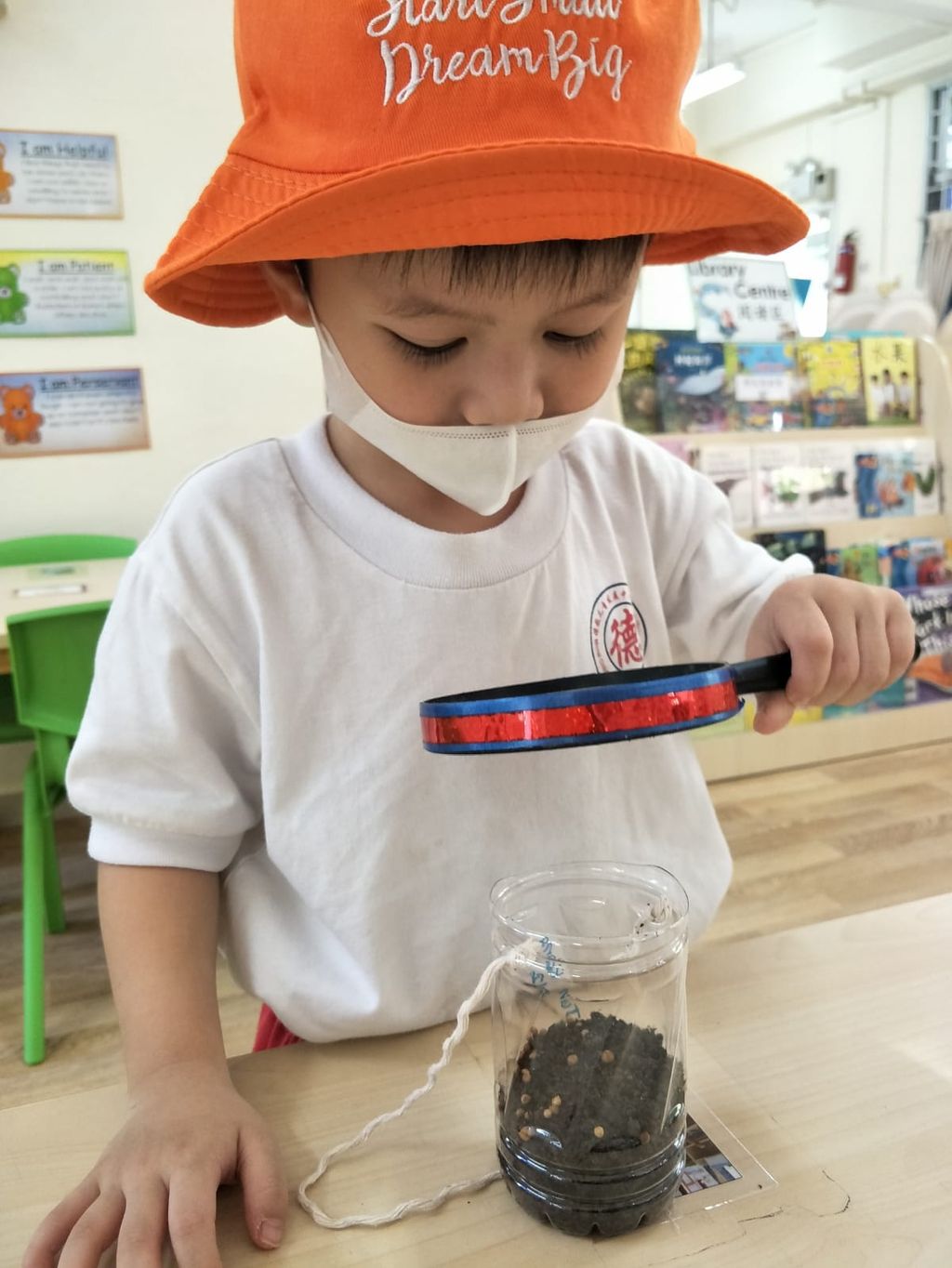 N2 children SSDB Gardening Journal-Coriander and Onion — photo 22