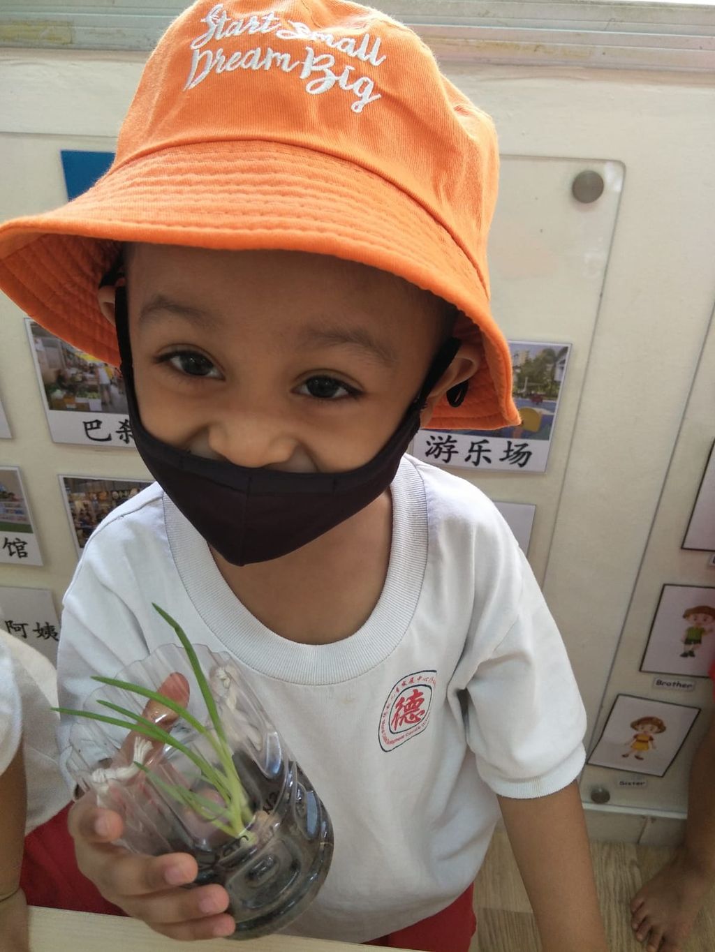 N2 children SSDB Gardening Journal-Coriander and Onion — photo 25