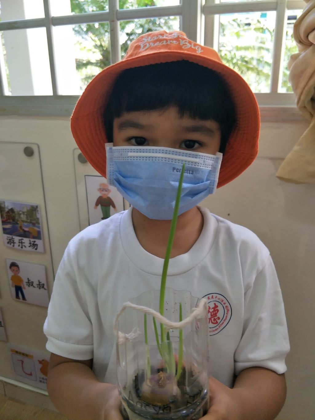 N2 children SSDB Gardening Journal-Coriander and Onion — photo 29