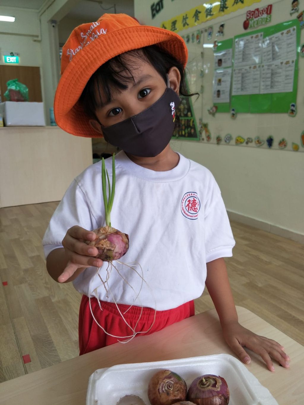 N2 children SSDB Gardening Journal-Coriander and Onion — photo 31