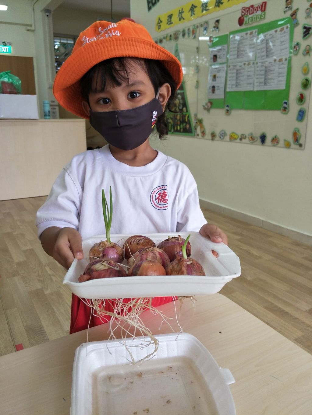 N2 children SSDB Gardening Journal-Coriander and Onion — photo 32
