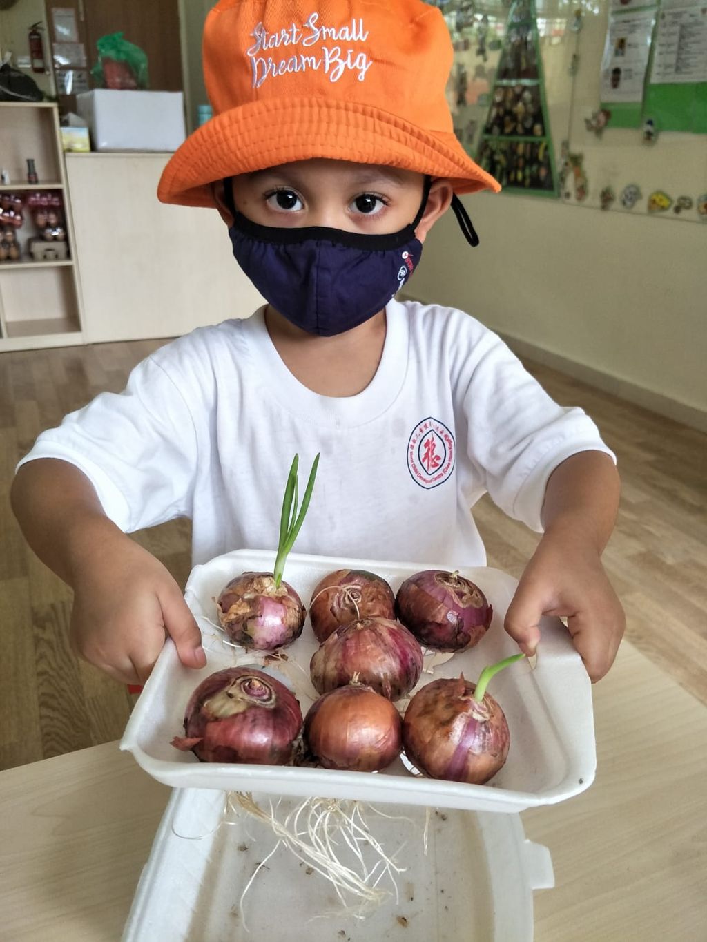 N2 children SSDB Gardening Journal-Coriander and Onion — photo 33