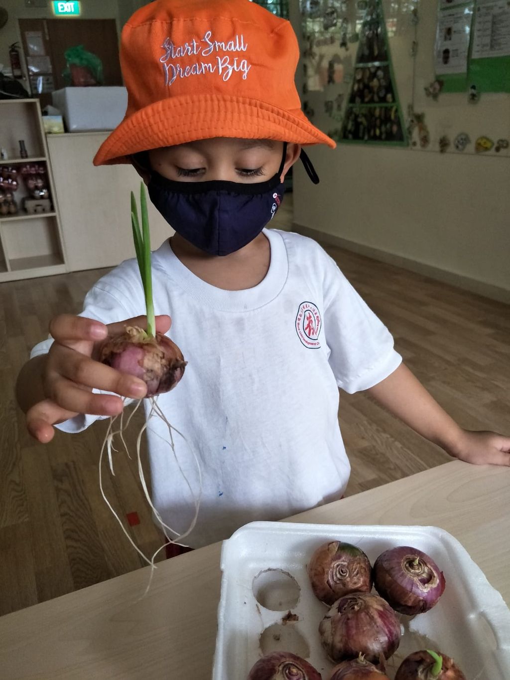 N2 children SSDB Gardening Journal-Coriander and Onion — photo 34