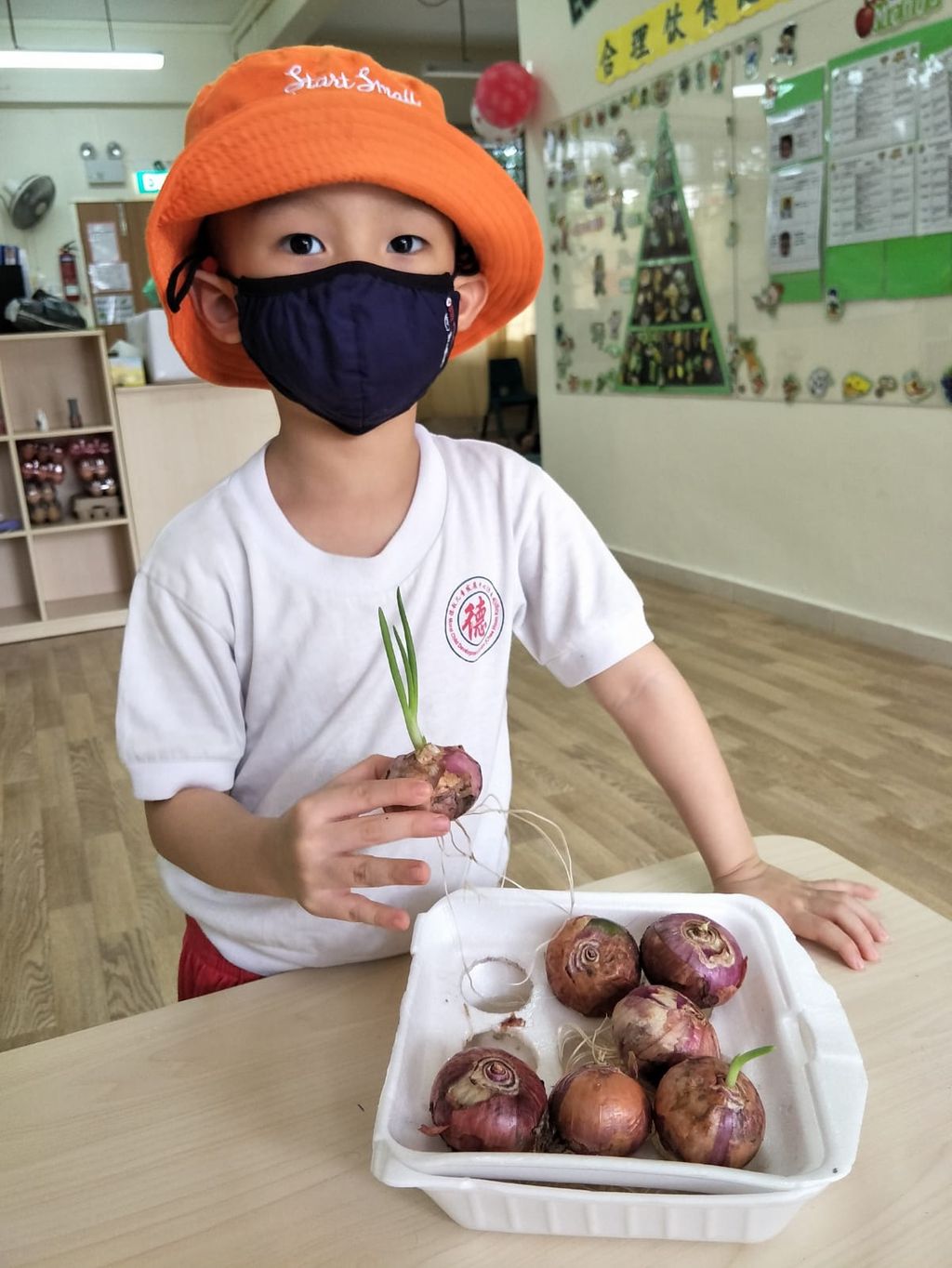 N2 children SSDB Gardening Journal-Coriander and Onion — photo 35