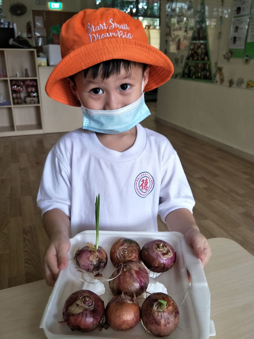 N2 children SSDB Gardening Journal-Coriander and Onion — photo 37