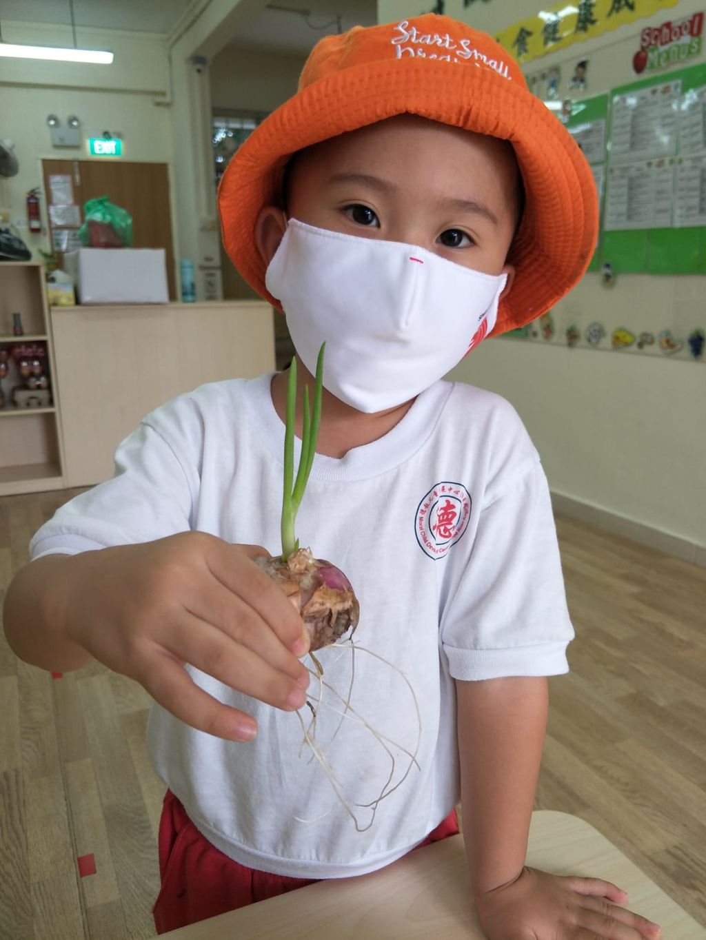 N2 children SSDB Gardening Journal-Coriander and Onion — photo 40